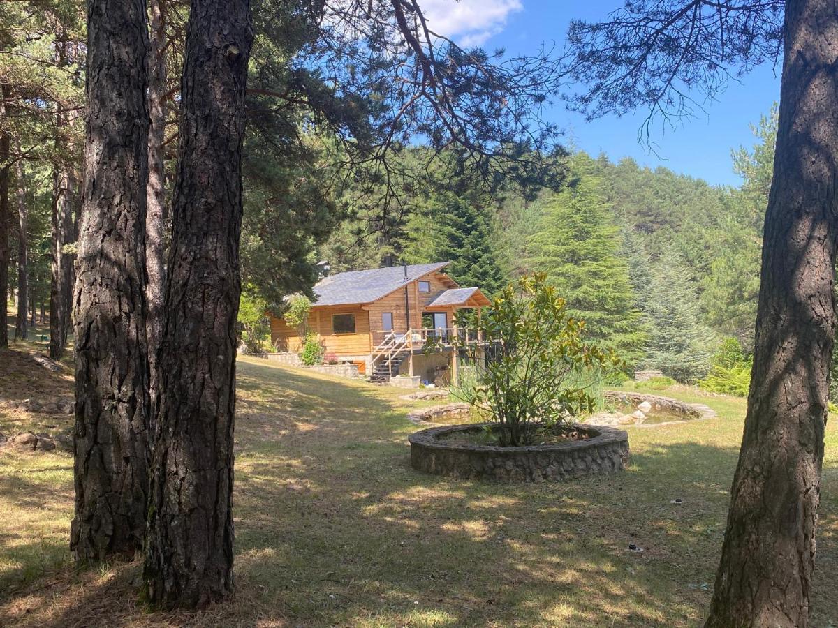 El Refugi De La Torre Espinalbet Villa Castellar del Riu Luaran gambar
